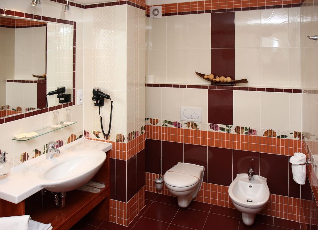 Hotel Ceska Koruna Decin Kamer foto