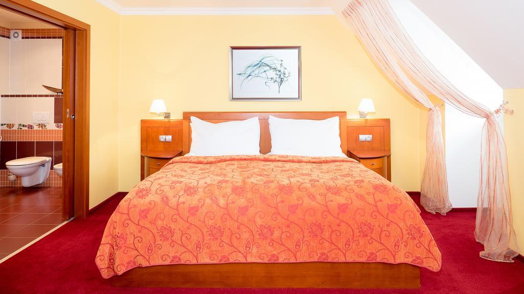 Hotel Ceska Koruna Decin Buitenkant foto