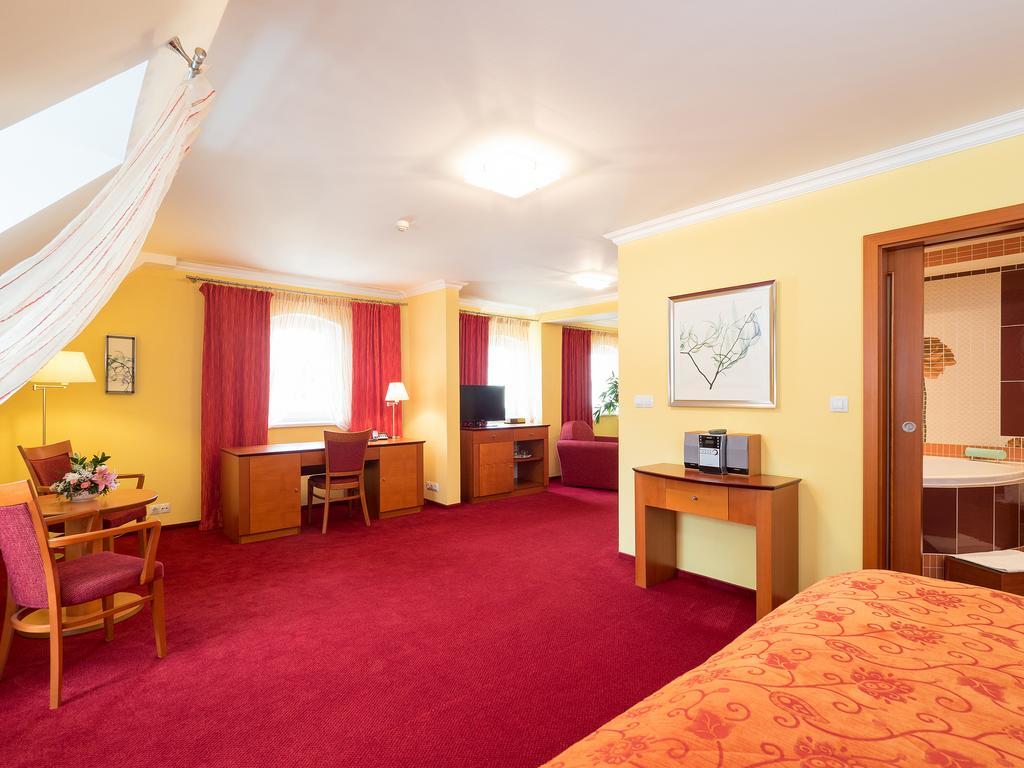 Hotel Ceska Koruna Decin Buitenkant foto